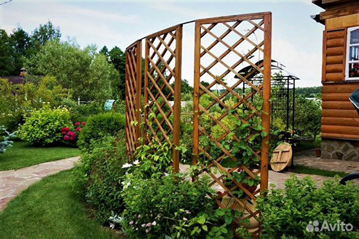 Пергола, шпалера