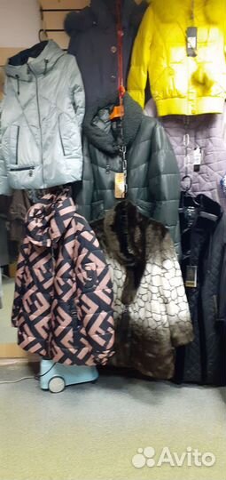 Женская одежда