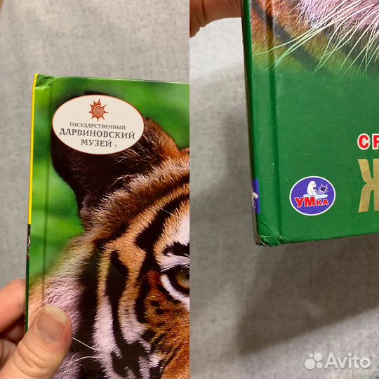 Энциклопедия Животные с развивающимися заданиями