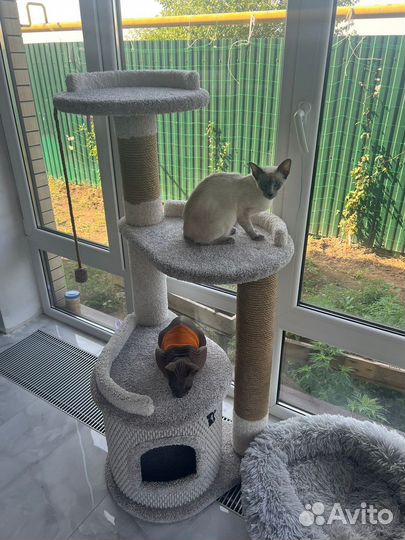 Домик - когтеточка, лежанка для котов(кошек) новый