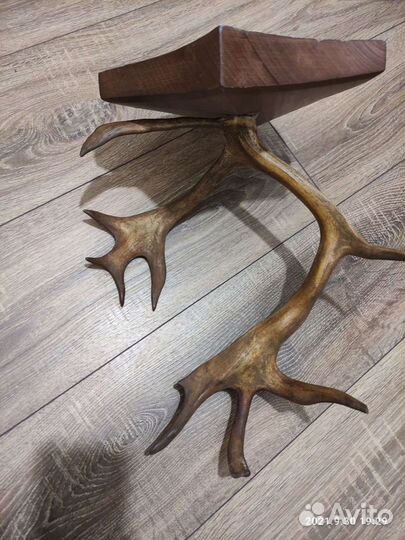 Продам рога оленя