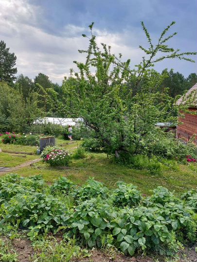 Дом 42 м² на участке 9 сот.