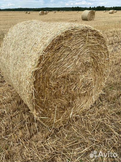 Солома в рулонах