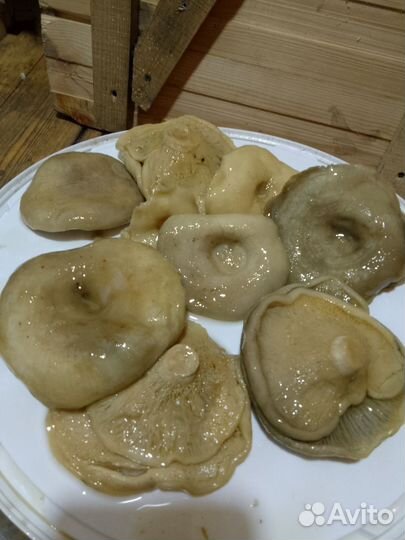 Грузди белые 23 г. тополиные пахнут лесом, солёные