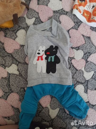 Одежда для маленьких собак