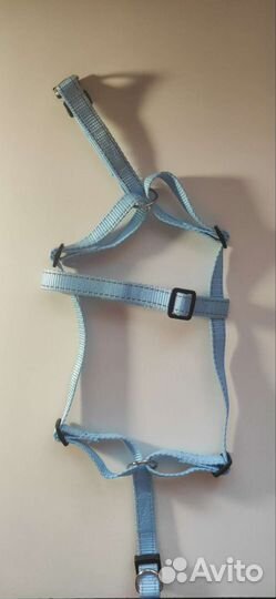 Шлейка для кошек и собак мелких пород