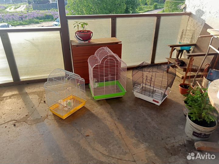 Клетка для попугая