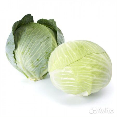 Семена Капусты 