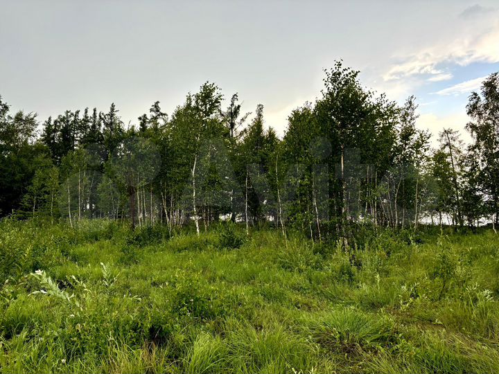 Участок 10 сот. (СНТ, ДНП)