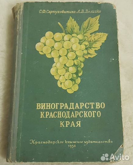 Виноградарство Краснодарского края,Серпуховитина