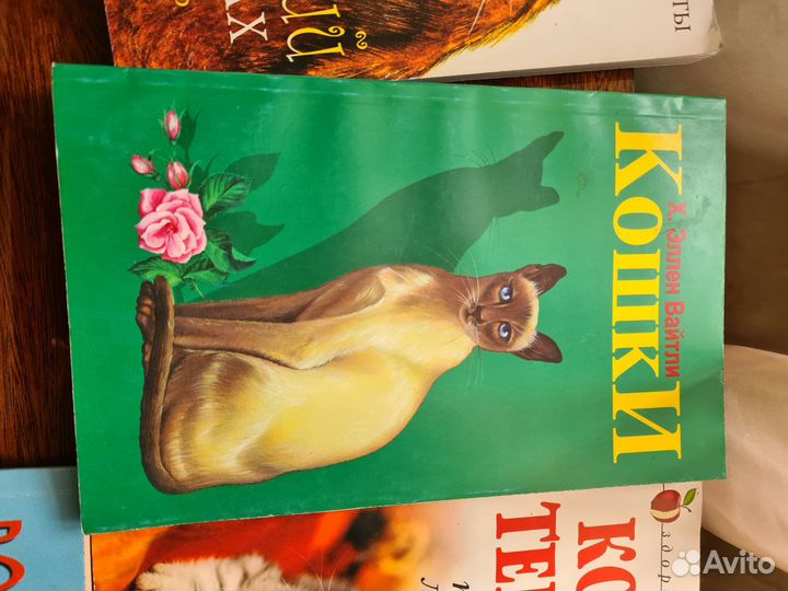 Книги о кошках(содержание,воспитание и т.д