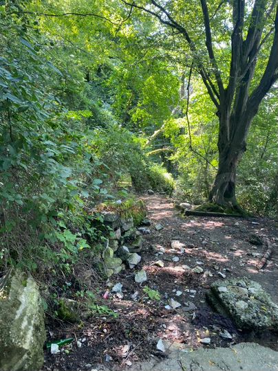 Участок 50 сот. (ИЖС)