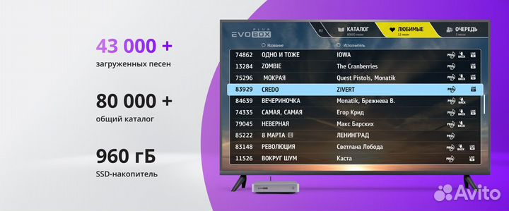 Караоке система EvoBox Plus NEW