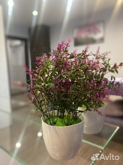 Искусственные растения в кашпо