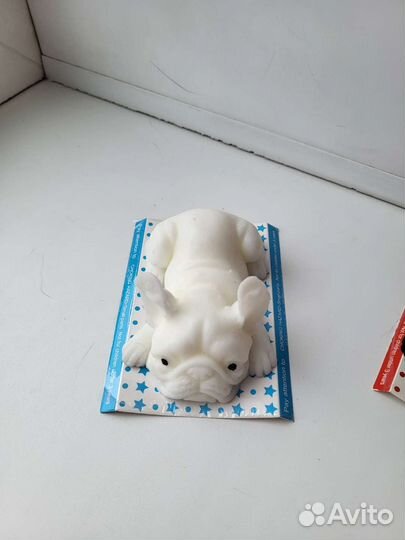 Сквиш Бульдог