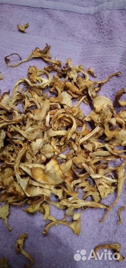 Сушеные грибы лисички