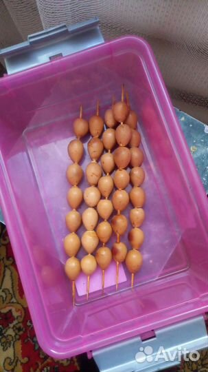 Перепелка копченая,мясо бройлер,мясо кролика