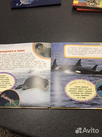 Хищники Самая первая энциклопедия