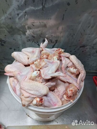 Кости для собак