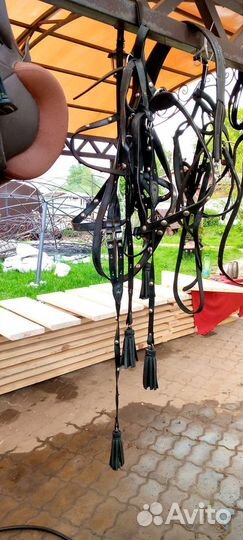 Сбруя для лошади