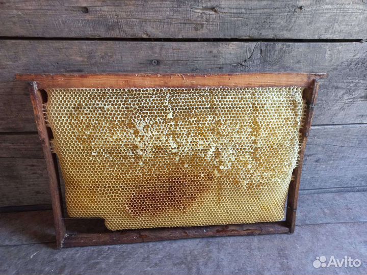 Рамки с сушью