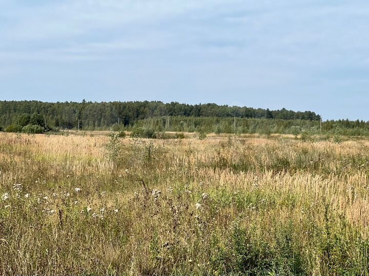 Участок 6,64 га (СНТ, ДНП)