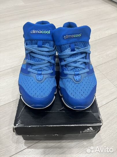 Кроссовки Adidas cc revolution m