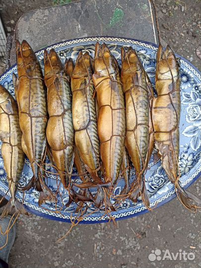 Горбуша, скумбрия-горячего копчения