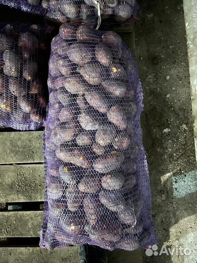 Продам картофель