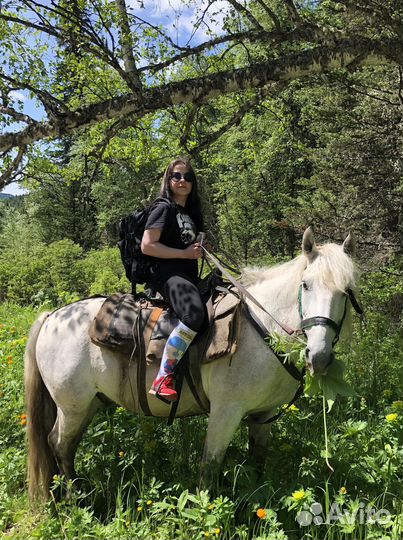 Бизнес ассистент