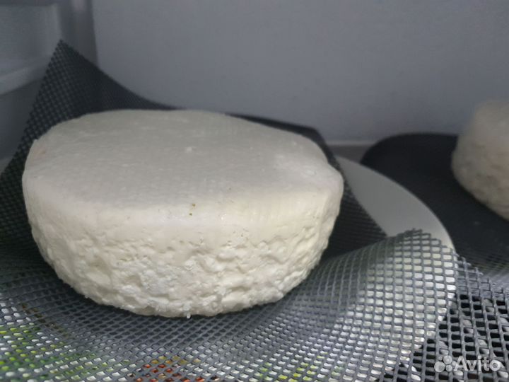 Молоко коровье и козье домашнее
