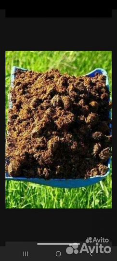 Конский перегной