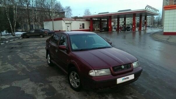 Skoda Octavia: фото владельца