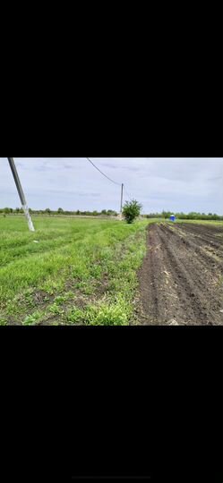 Участок 11 сот. (ИЖС)