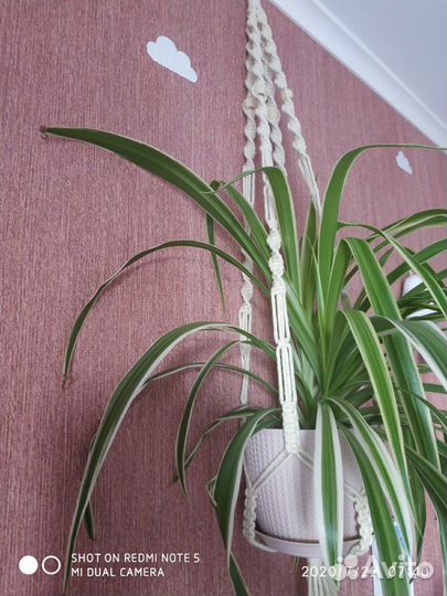 Кашпо в технике макраме