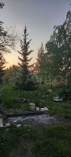 Дача 36 м² на участке 11 сот.