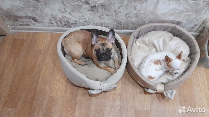 Лежанка для животных/для кошек/для собак