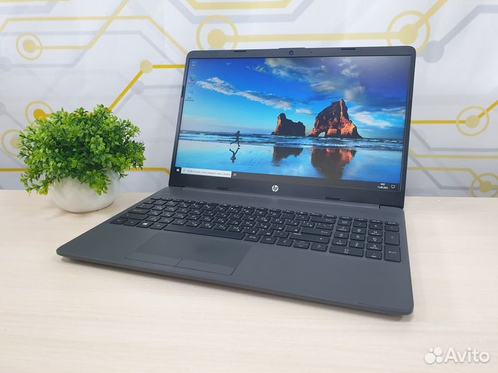 Ноутбук (HP, 255 G8 (2W1D4EA), AMD, 3020e 2 ядра 1