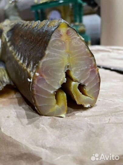 Живая рыба, чёрная икра