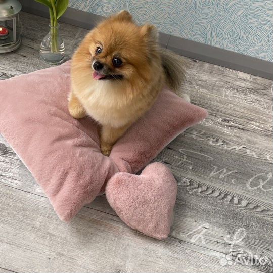 Лежанки домики лесенки