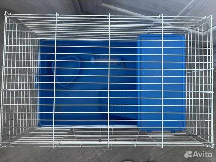 Клетка для грызунов, переноска для грызунов