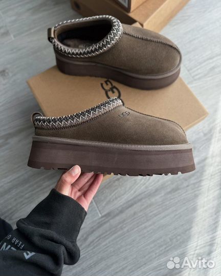 Ugg Tazz Chocolate