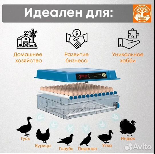 Инкубатор АВТОМАТИЧЕСКИЙ