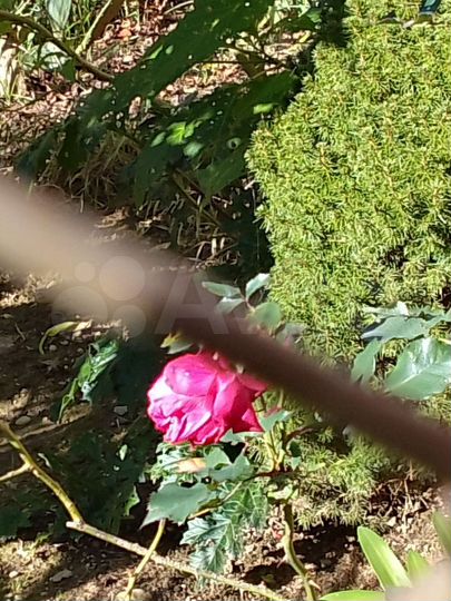 Участок 7 сот. (ИЖС)