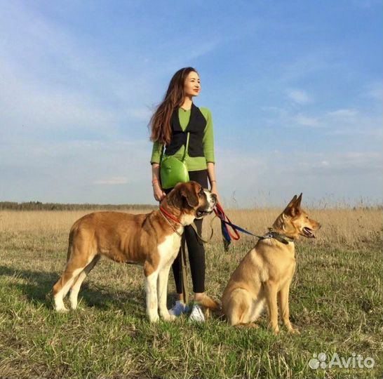 Зоопсихолог, кинолог, передержка, выезд/онлайн