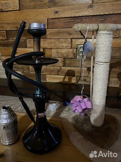 Когтеточка для кошек