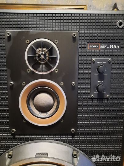 Акустические колонки sony G-5a