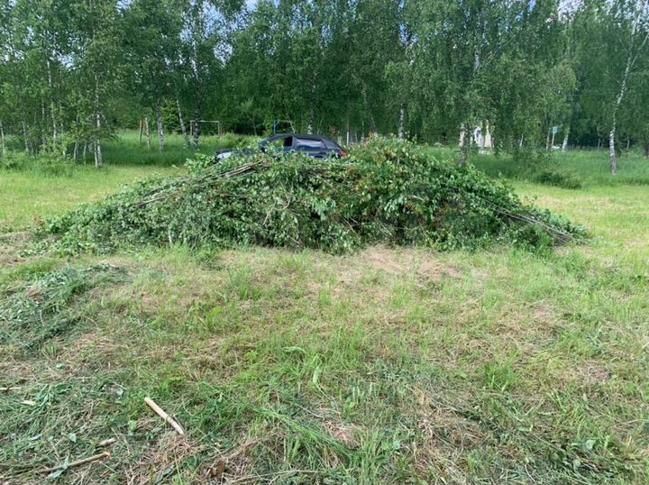 Участок 10 сот. (СНТ, ДНП)