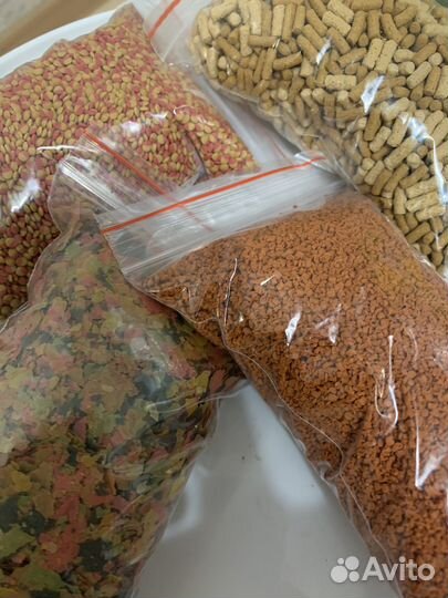 Корм для рыбы с доставкой