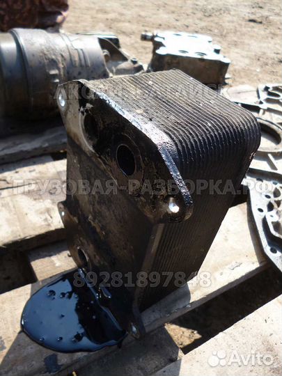 Радиатор масляный DAF XF95 (2002г.); CF 2001-2013